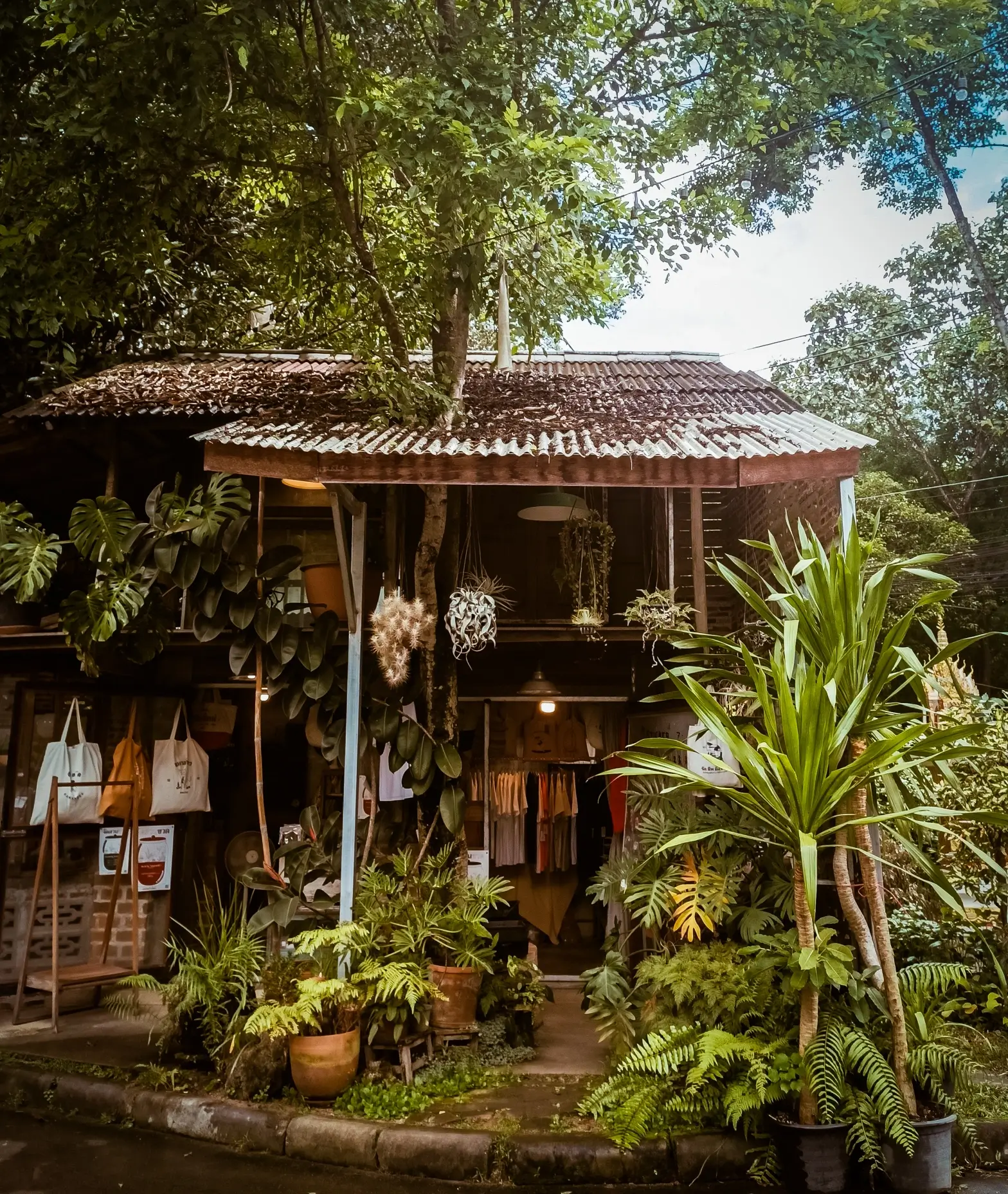 COUP DE CŒUR À CHIANG MAI : Le quartier de Baan Kang Wat, là où respirent les artistes